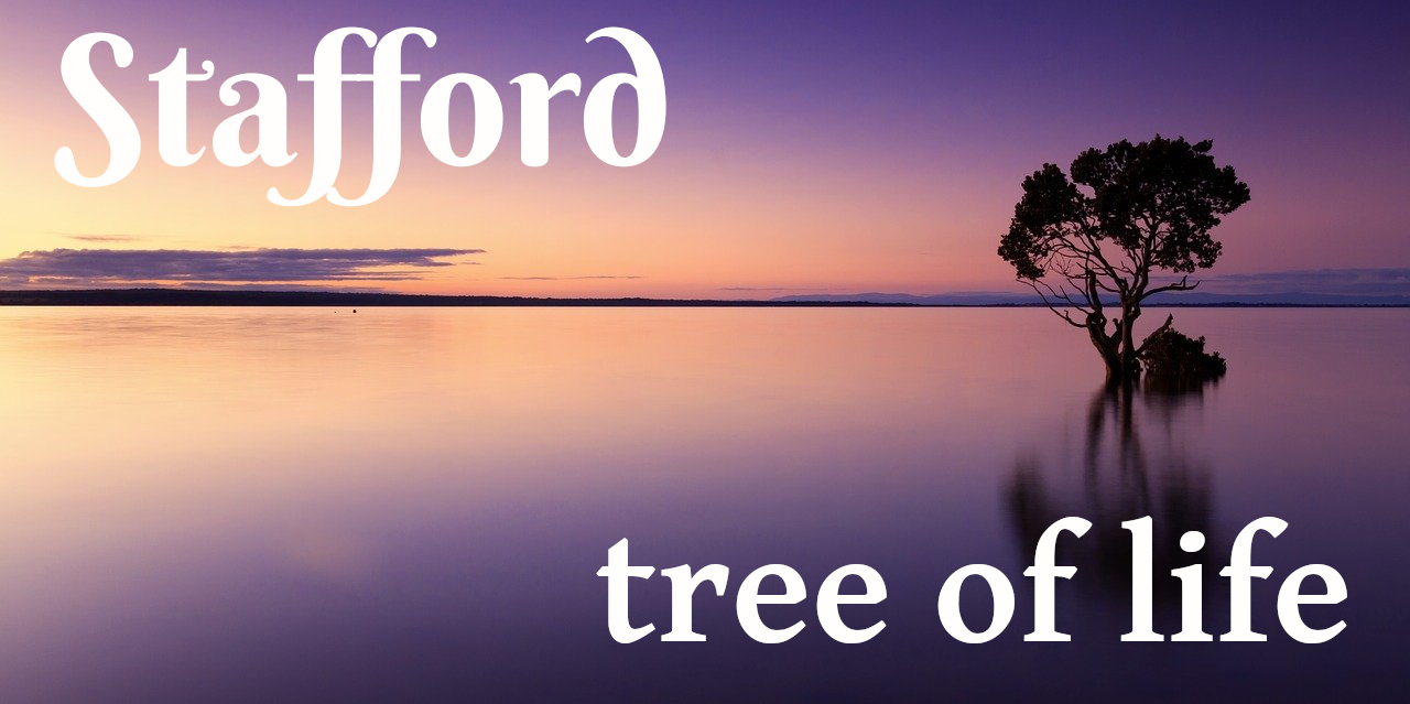 Stafford Tree Of Life